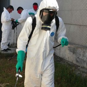 Servicios para el control de plagas